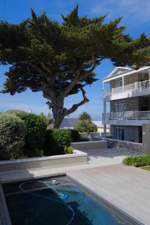 una casa con un árbol y una piscina en Penguin Paradise Apartment Simons Town, en Simonʼs Town