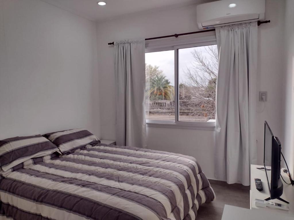 DTo CÉNTRICO LOBOS 2 D