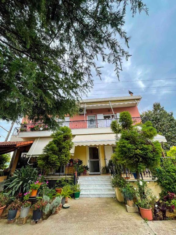 una casa con piante in vaso davanti di Lucky's House a Preveza