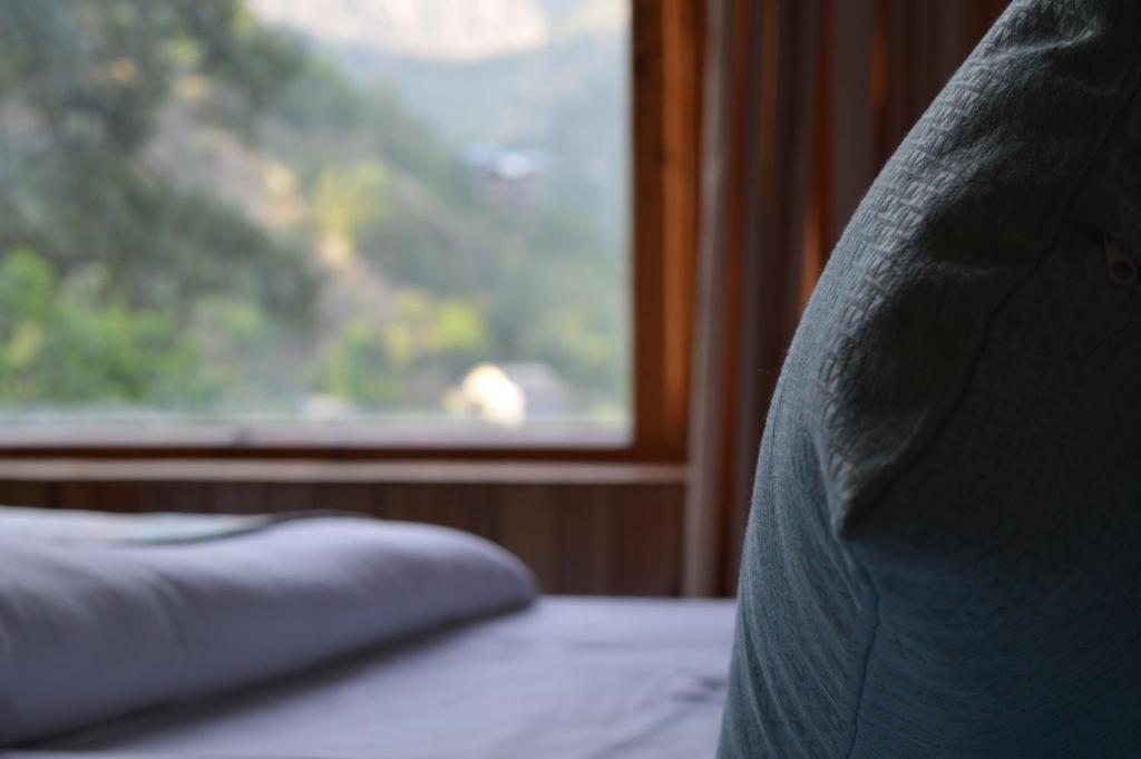 Tirthan Valley - House of Sharon