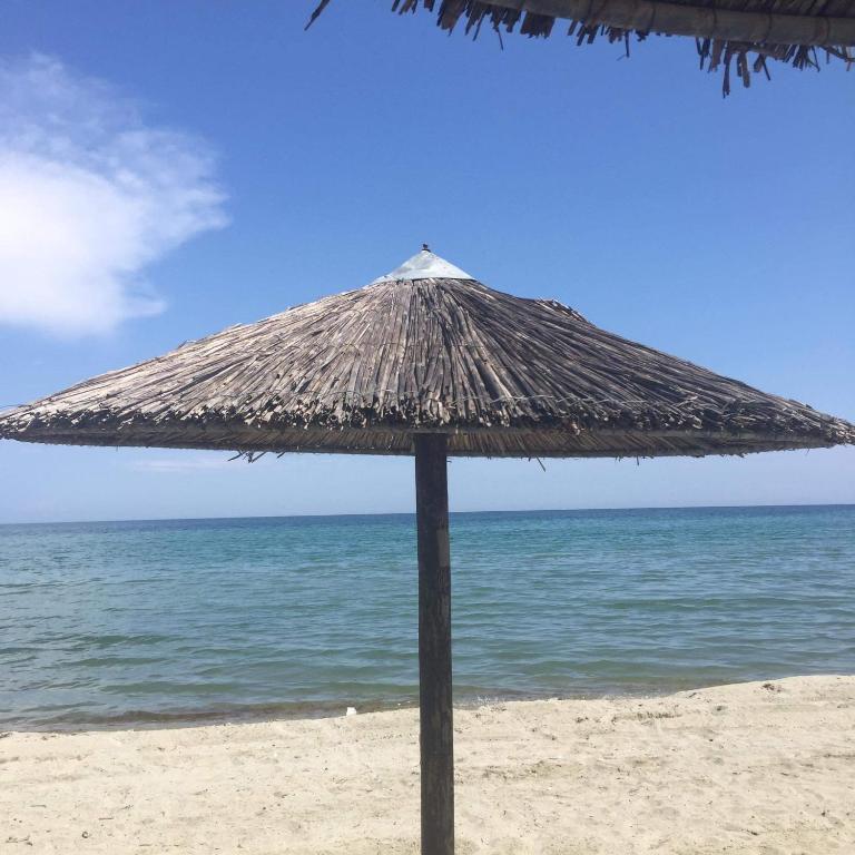 Příroda nedaleko aparthotelu