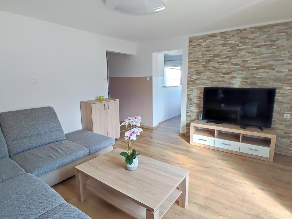 TV a/nebo společenská místnost v ubytování Apartmaji Mojca