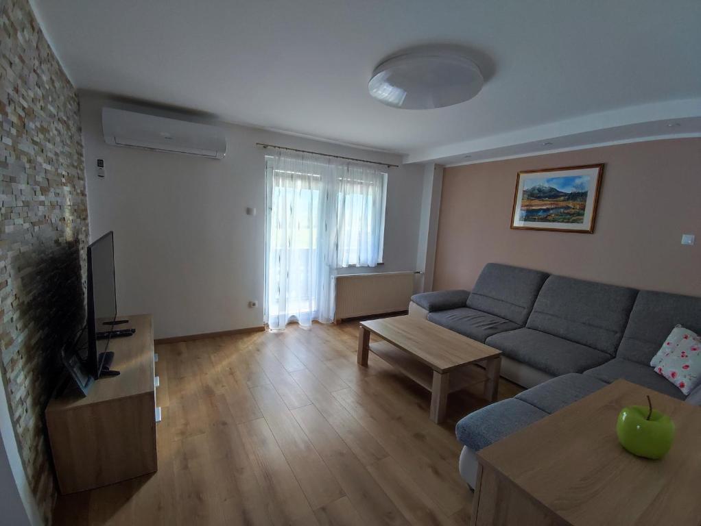 TV a/nebo společenská místnost v ubytování Apartmaji Mojca