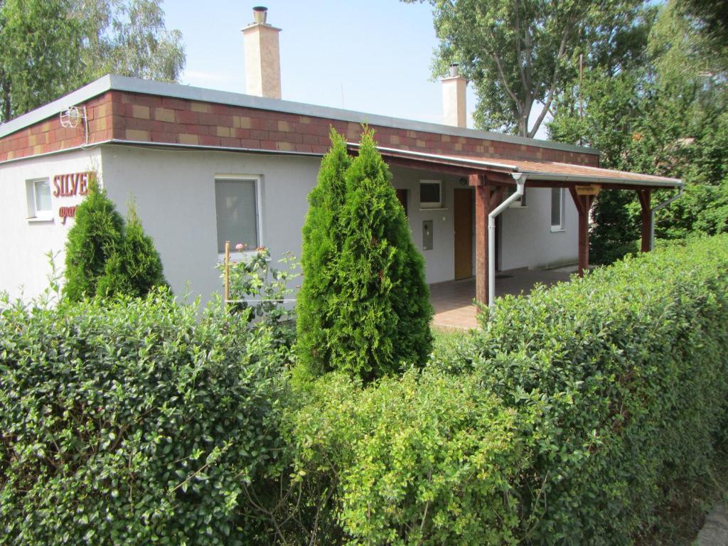 Κήπος έξω από το Silver Apartman Patince