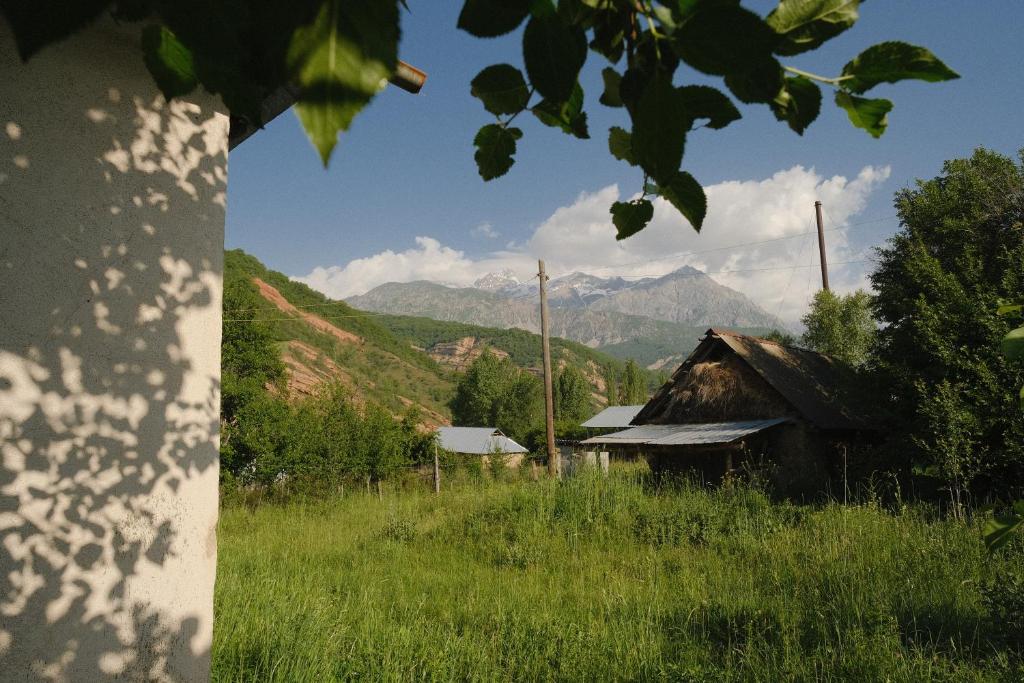 Токтогул базы отдыха