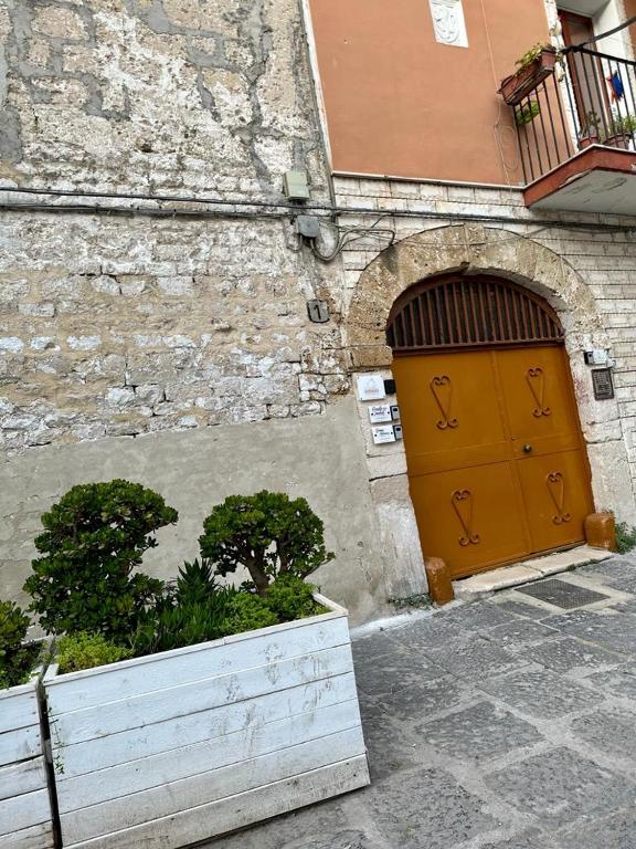 Dimora Albicocca - 19