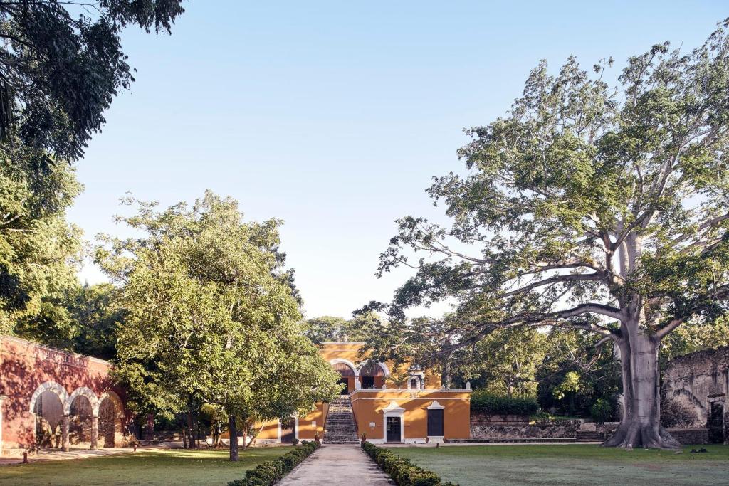 una casa con un árbol en medio de un patio en Hacienda Uayamon, en Uayamón