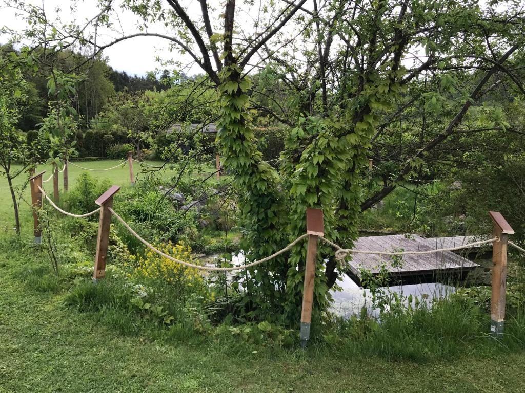 a garden with a fence and a tree with vines at Klopeinerperle in Peratschitzen