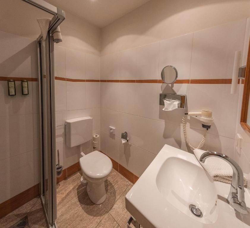 Struck Landhotel & SPA - Single Room