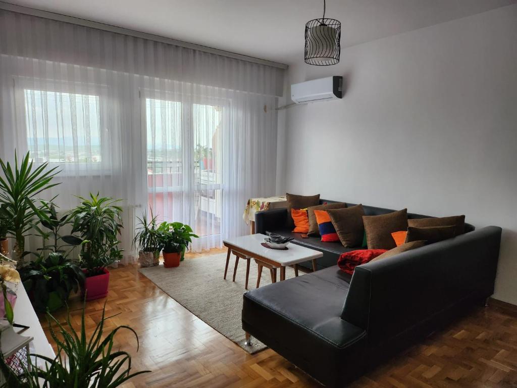 uma sala de estar com um sofá preto e algumas plantas em ONE bedroom apartment - close the CITY CENTER! PRISHTINA em Pristina