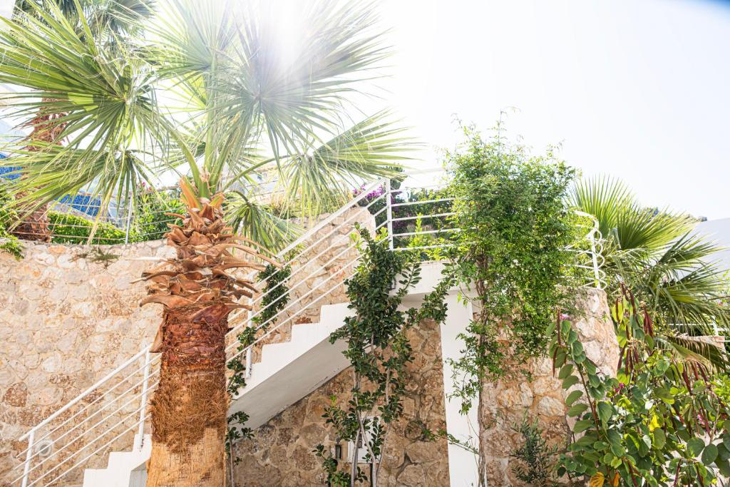 Zahrada ubytování Villa Ayşegül