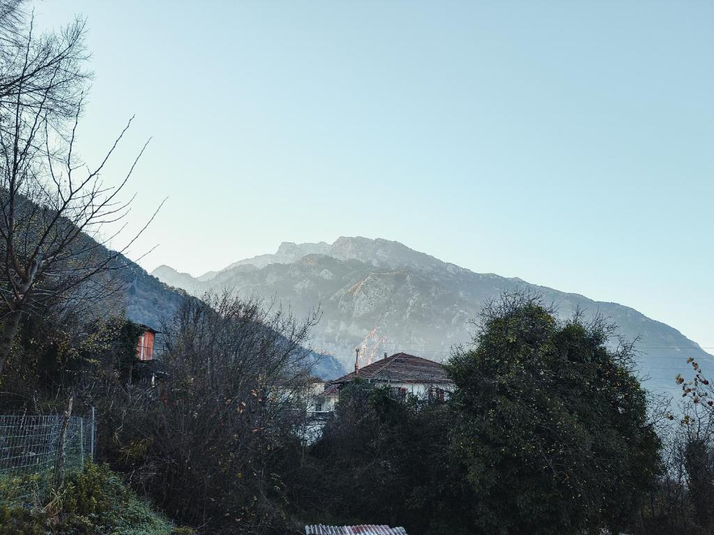 a house on a hill with a mountain in the background at Mountain View in Konitsa