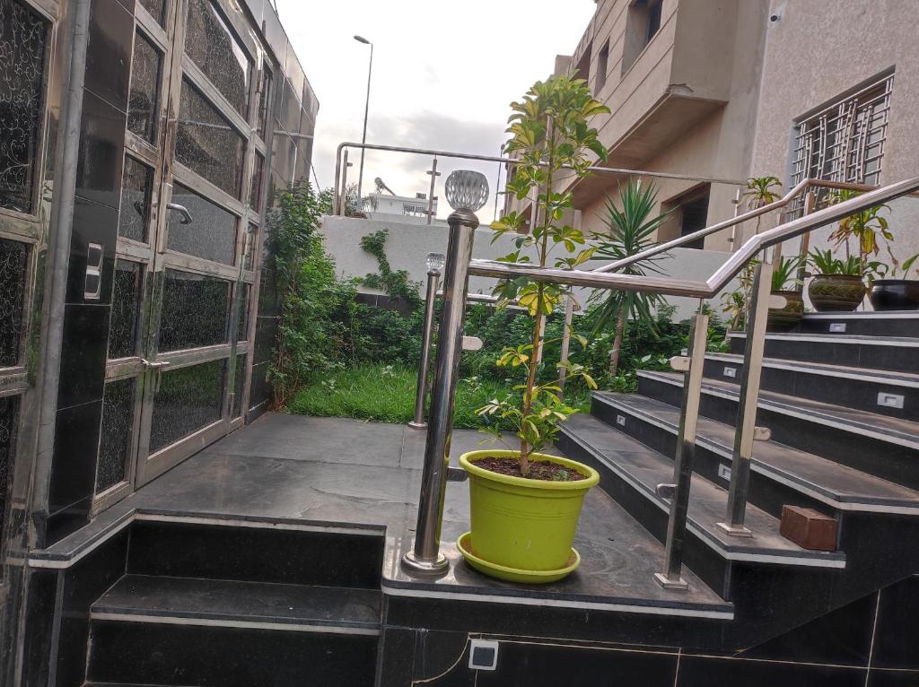 VILLA MALLAK SABIRINE في Nouaceur: النباتات في وعاء أخضر على سلالم المبنى