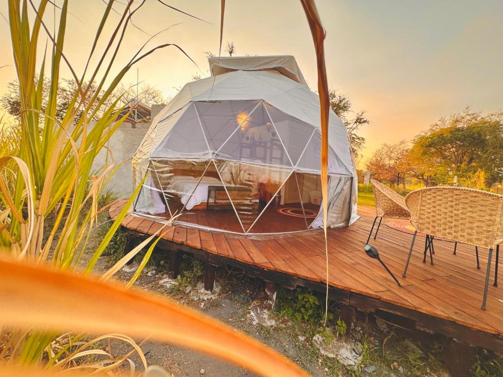 Glamping Xochitepec - Carpa