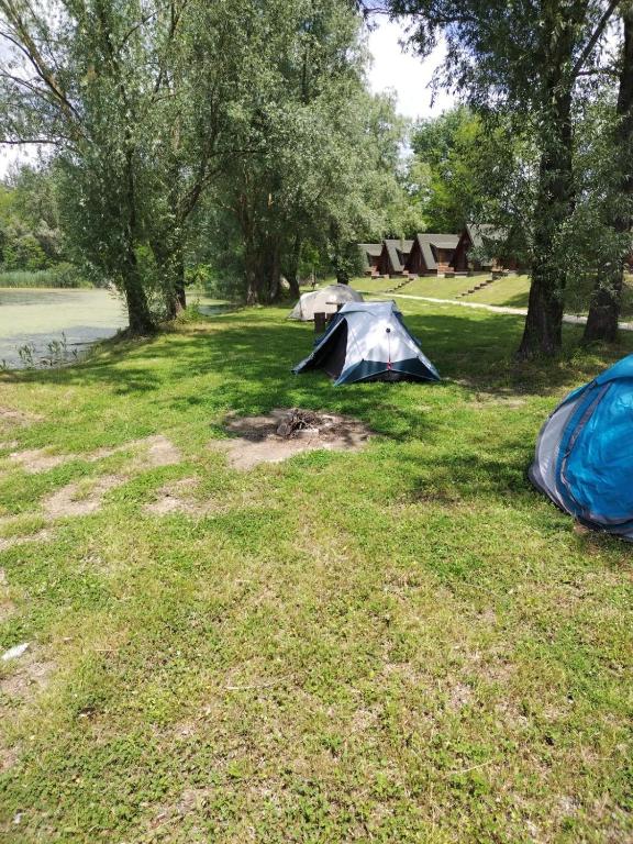 Příroda nedaleko kempu