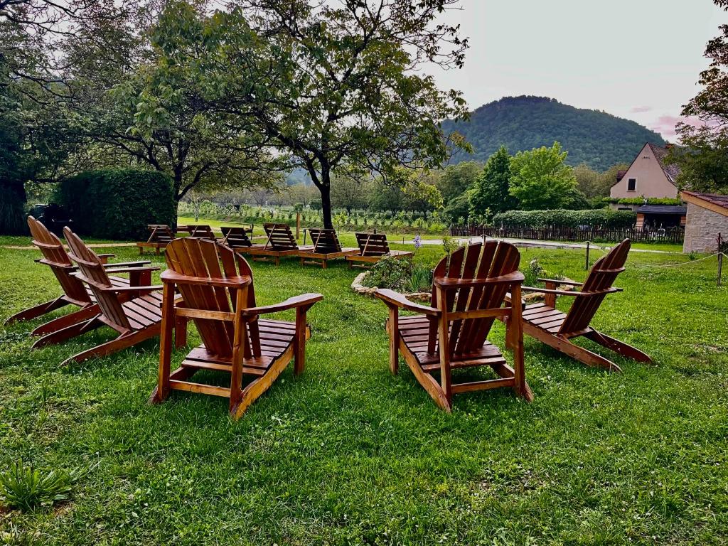 a row of wooden chairs sitting in the grass at Esparoutis in Saint-Cybranet