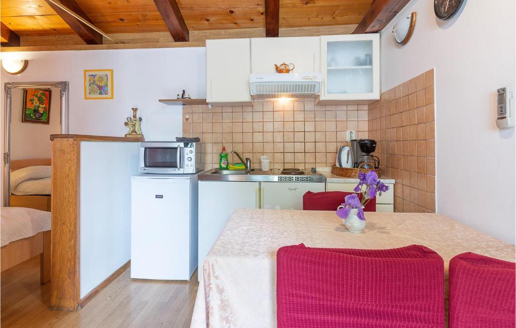 Kuchyň nebo kuchyňský kout v ubytování Lovely Home In Kanfanar With Kitchen