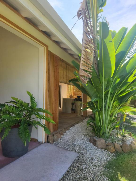 Green Villa Moorea - photo 12 - Moorea, Polynésie