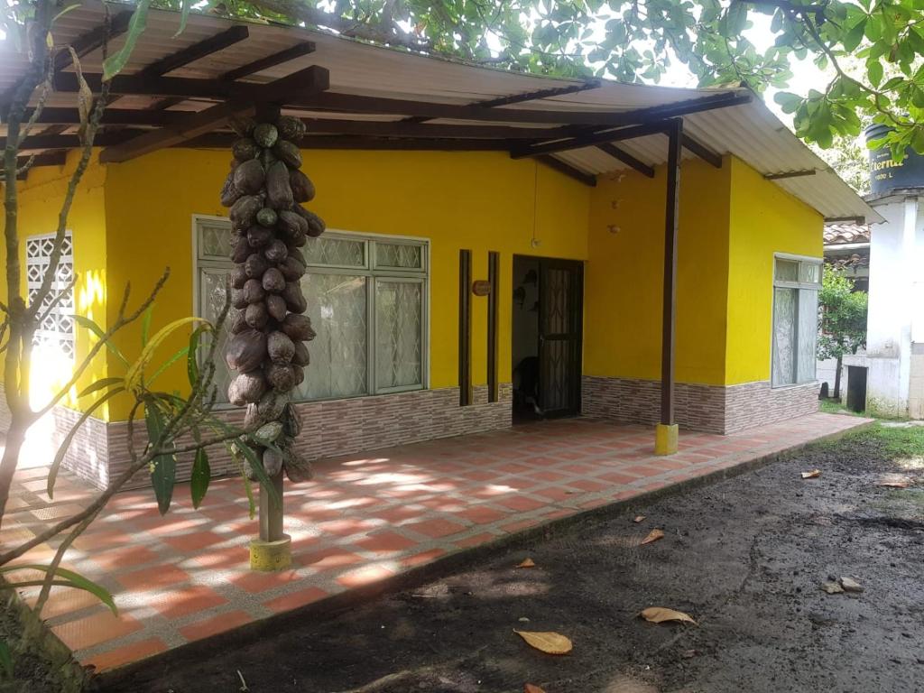 Ein gelbes Haus mit einem Haufen Trauben davor. in der Unterkunft Cabaña en la playa Punta Bolivar in San Antero