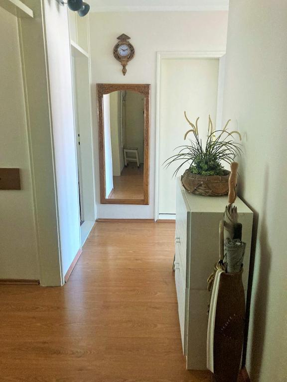 a hallway with a mirror and a plant on a cabinet at BAJKA in Čačak