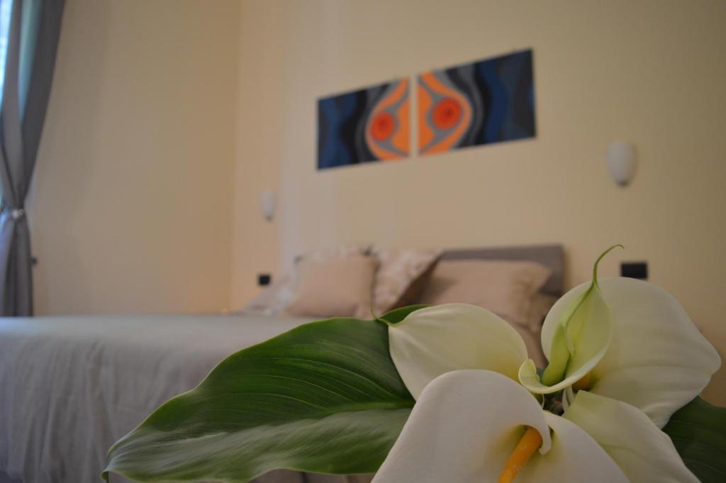 索倫托的住宿－Il Rivolo，坐在床前的白色花