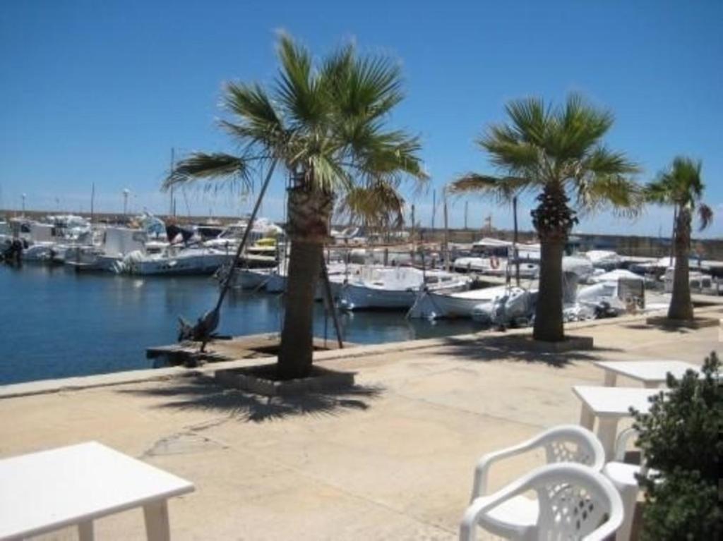 un puerto deportivo con palmeras y barcos en el agua en Ferienhaus in Urbanitzaci El Paraíso mit Offener Terrasse, en Sa Ràpita