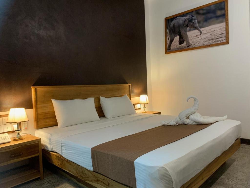 Doola River Edge - 5