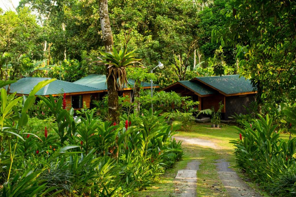 a house in the middle of a forest at Eden Organic Farm & Bungalows in Fortuna
