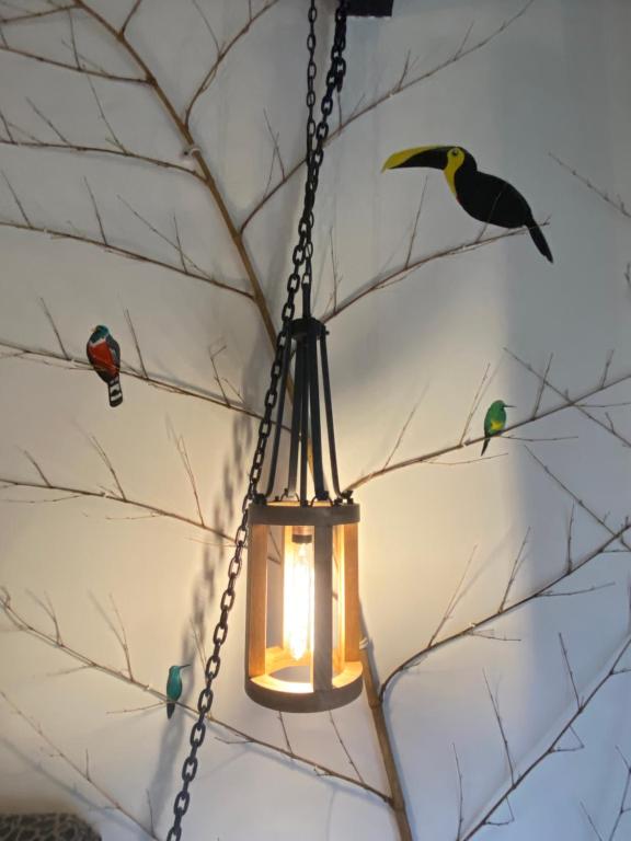 Fotografie z fotogalerie ubytování Suites Casa ColibrÍ v destinaci Mindo