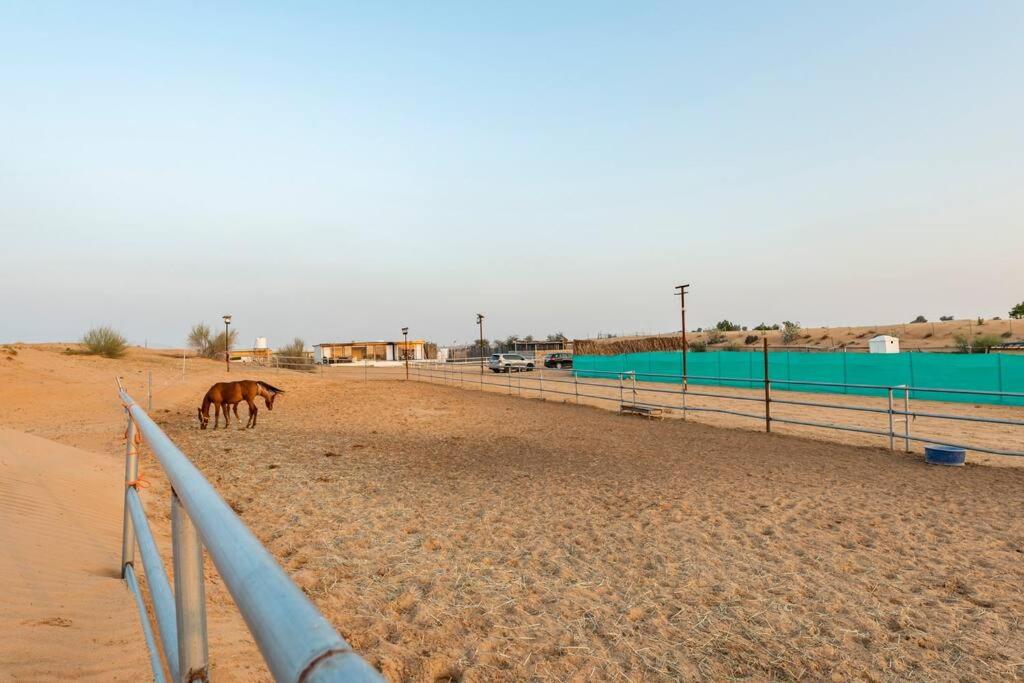 Fotografie z fotogalerie ubytování Desert farm gateway W/ pool & horse v destinaci Hunaywah