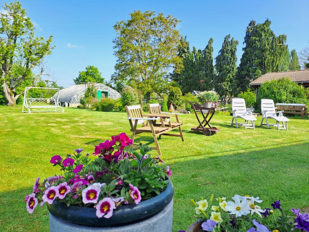 Zahrada ubytování COSY B&B 2B
