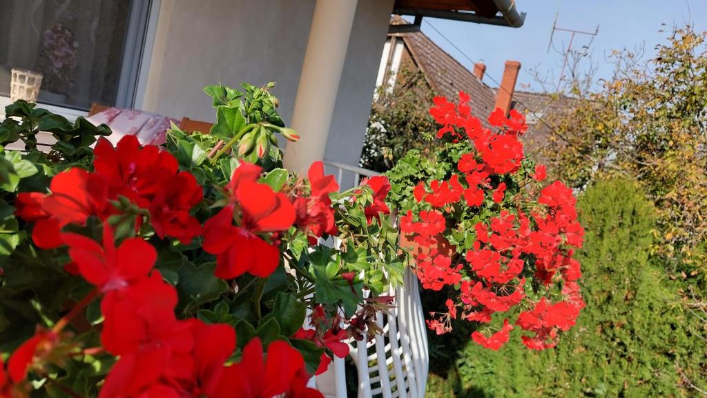 Zahrada ubytování Szilvia apartman