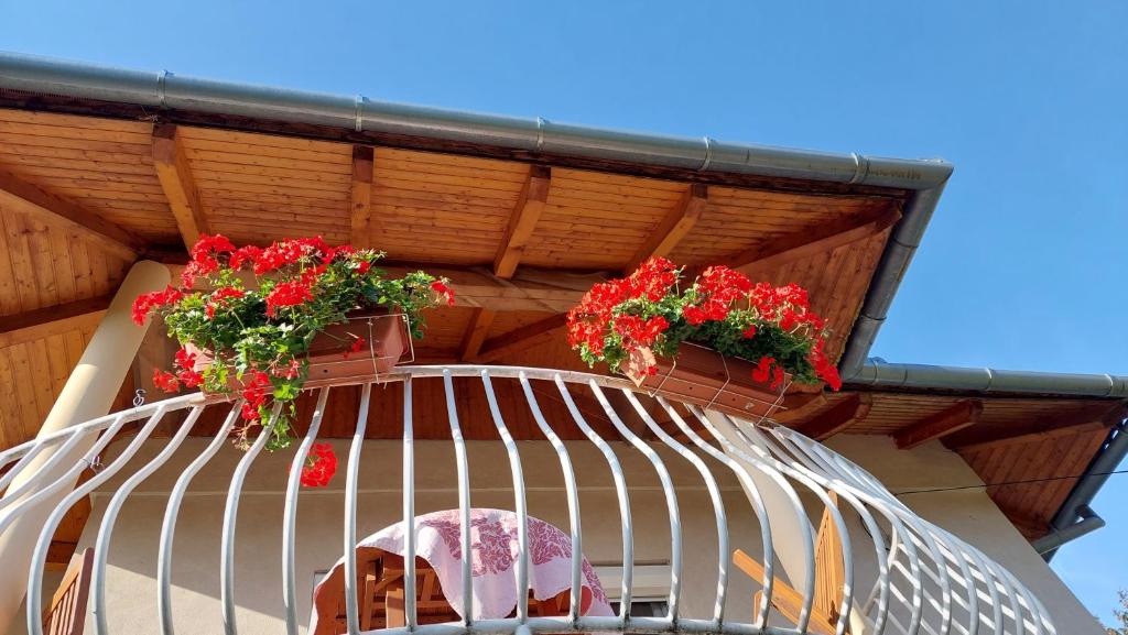 Balkón nebo terasa v ubytování Szilvia apartman