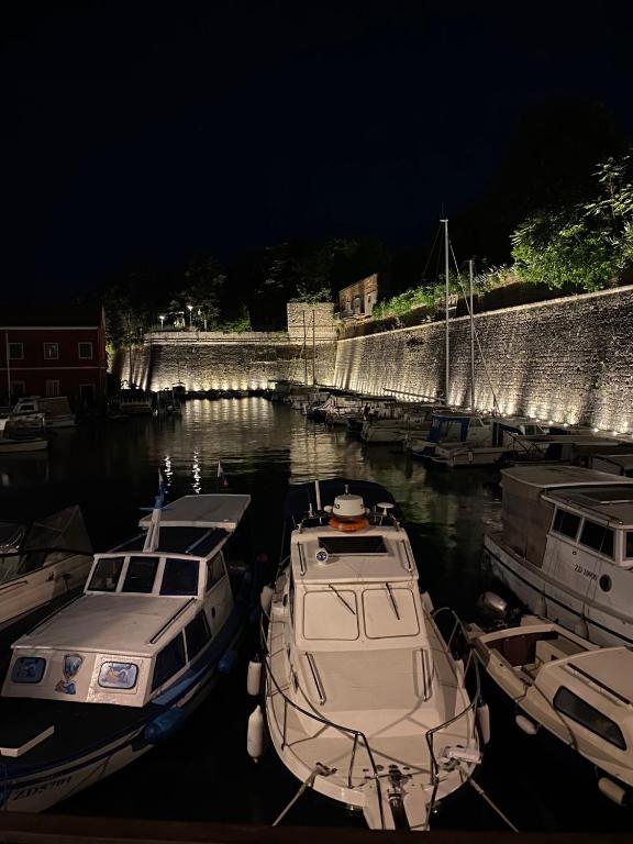 Fibula Apartment Zadar - 13