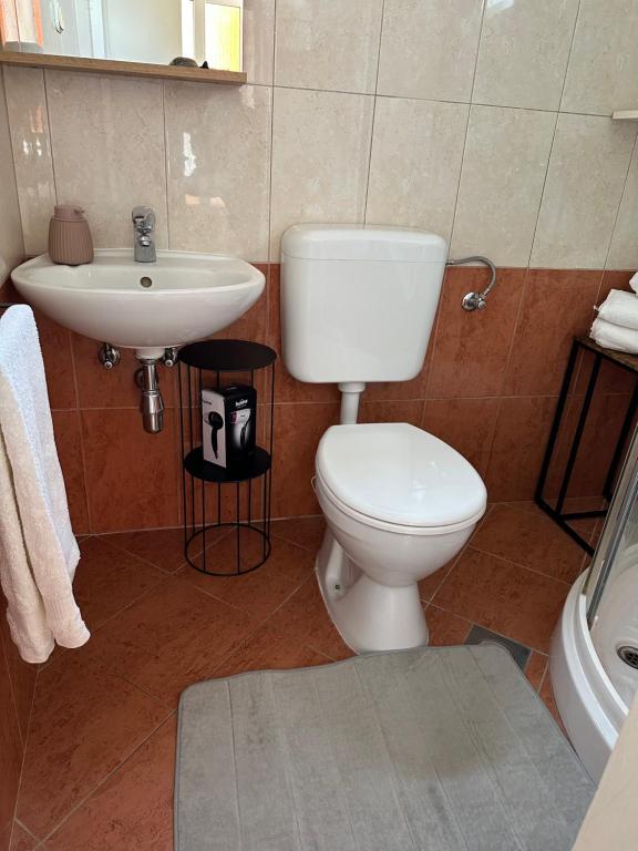 Kúpeľňa v ubytovaní Casa Tosić