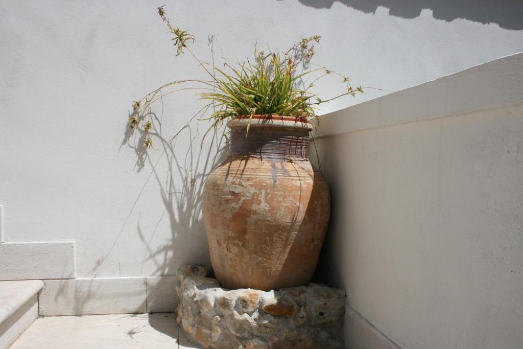 Fotografie z fotogalerie ubytování Hotel Il Cortile v destinaci Custonaci