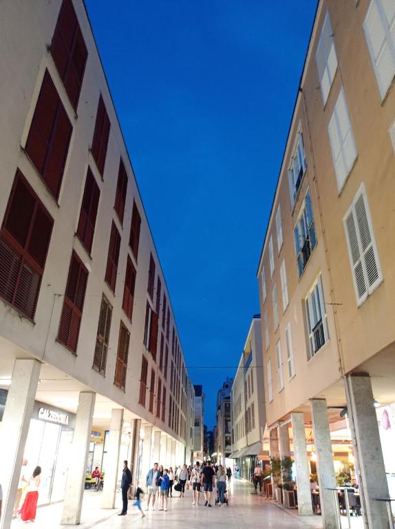 Fibula Apartment Zadar - 12