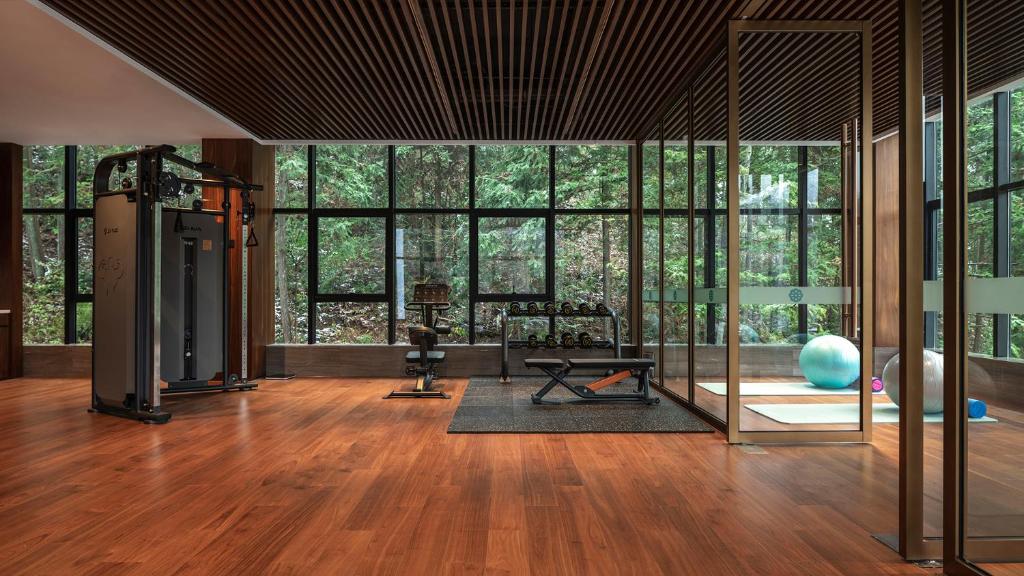 Fitness centrum a/nebo fitness zařízení v ubytování WishGarden Resort