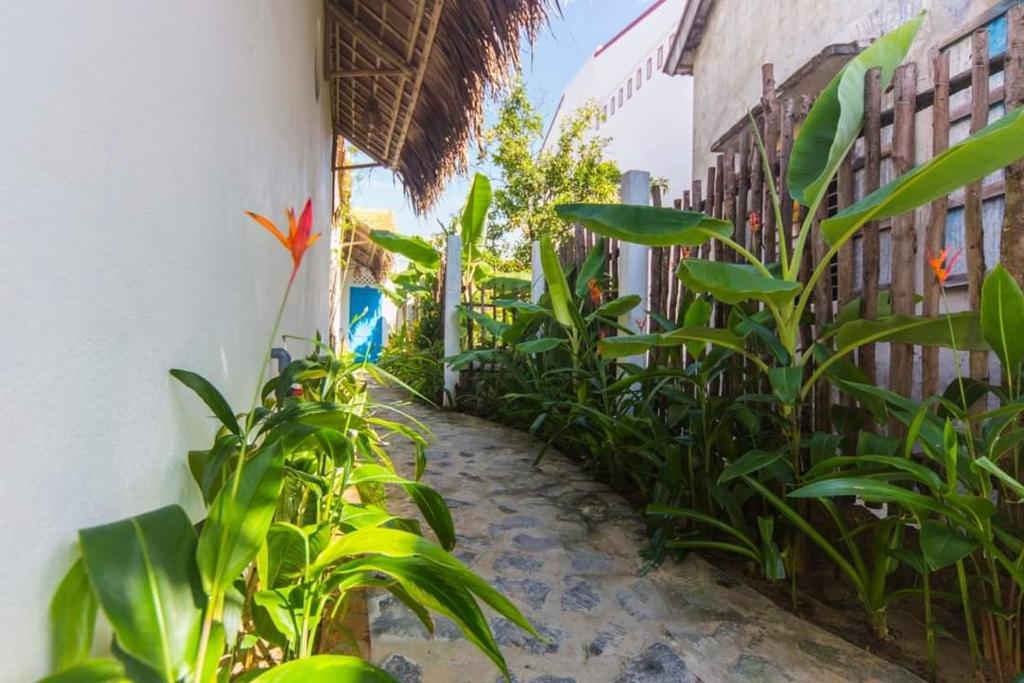 Vườn quanh Cashew Tree Bungalow