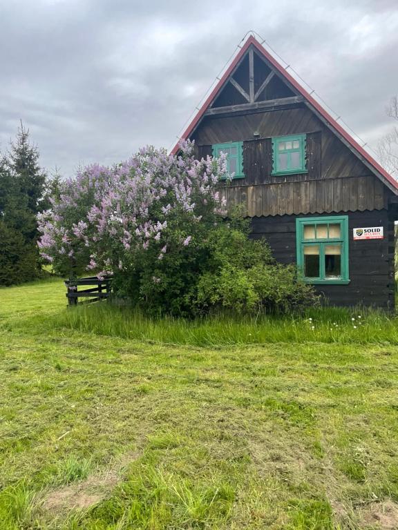 a house with a flowering tree in front of it at DOM NA GÓRCE in Narty