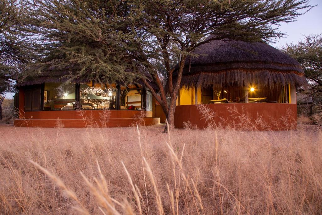 a hut with a tree in the middle of a field at Okonjima Luxury Bush Camp in Otjiwarongo