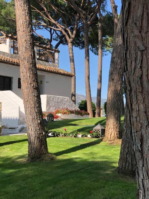 Vonkajšia záhrada v ubytovaní Boutique apartment 365 - Marbella