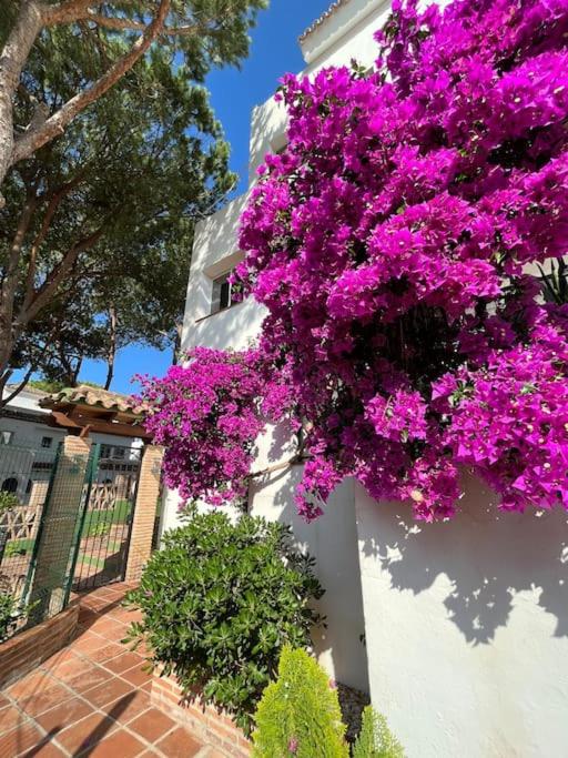 Vonkajšia záhrada v ubytovaní Boutique apartment 365 - Marbella