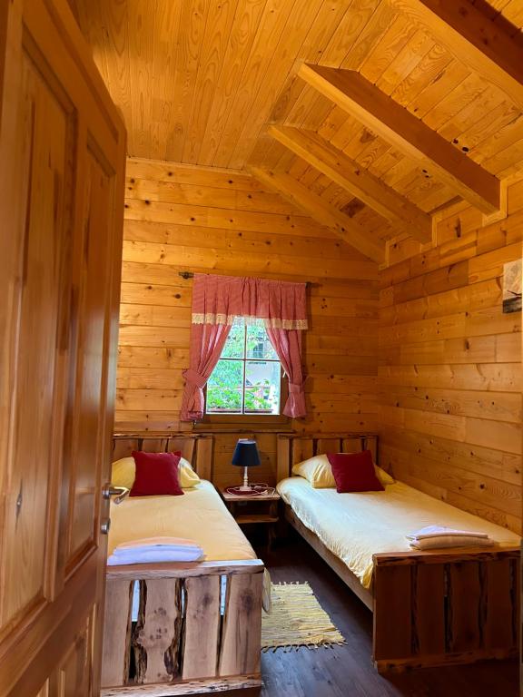 Apartments Zafran - 15