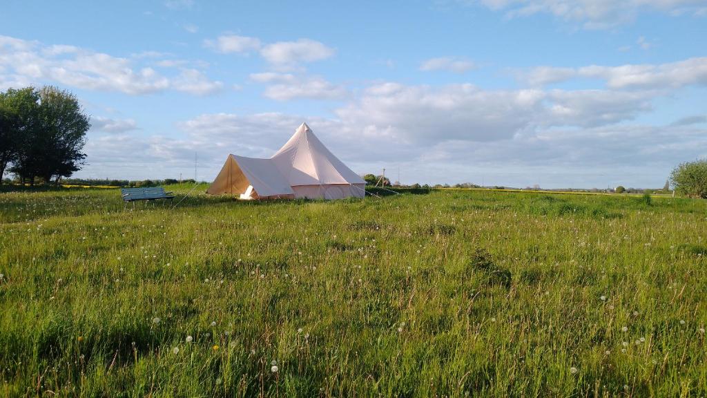 a large tent in a field with a bench at Cosy Farmhouse Glamping in Stege