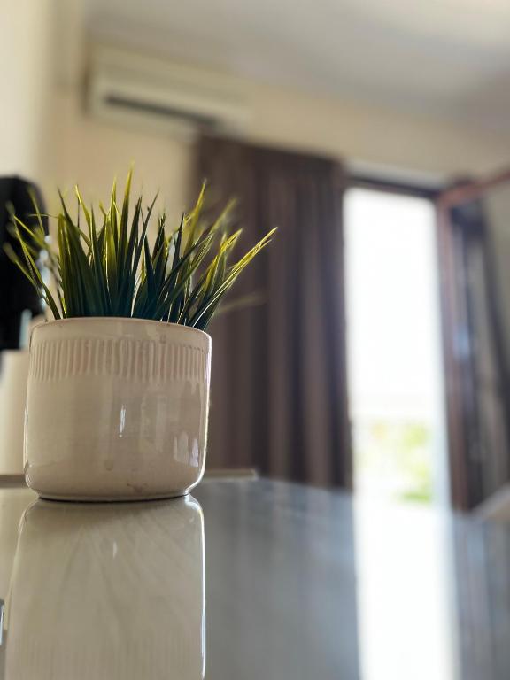 Xanemos Port Xanemos Studios - 8