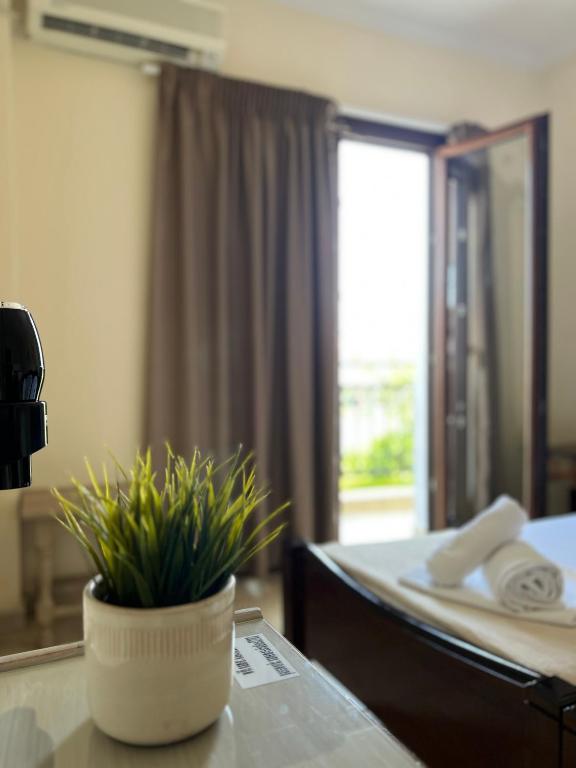 Xanemos Port Xanemos Studios - 6