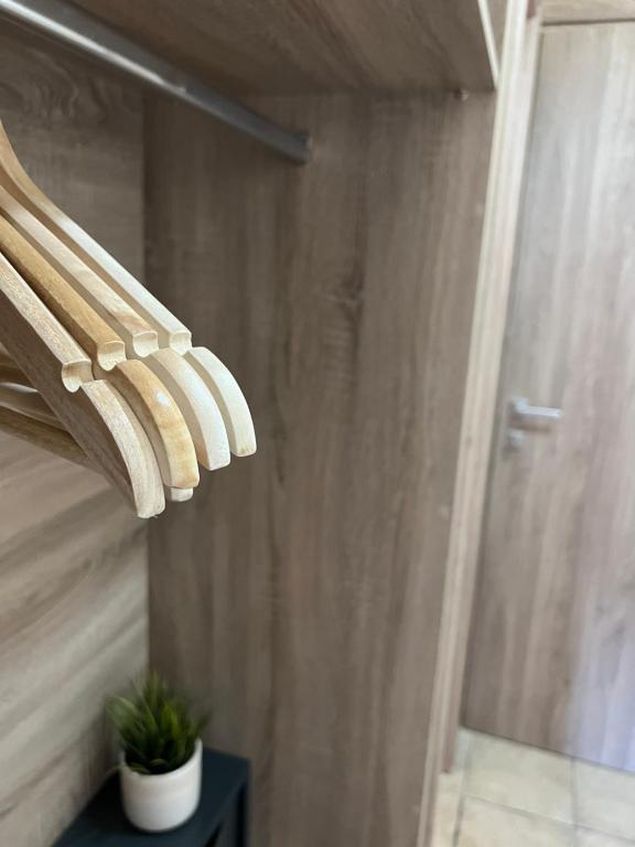 Xanemos Port Xanemos Studios - 7