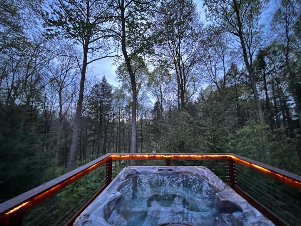 Beautiful Cabin on 83 Acres near New River National Park, Hico