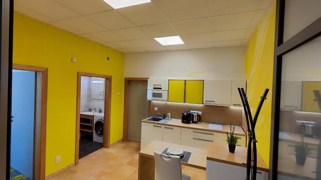 Kuchyň nebo kuchyňský kout v ubytování Apartmány Dačice